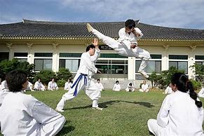 Image result for korea martial art