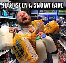 Image result for Snow Apocalypse Meme