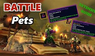 Image result for World of Warcraft Battle Pets
