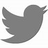 Image result for Twitter/Facebook Google Logo Black and White