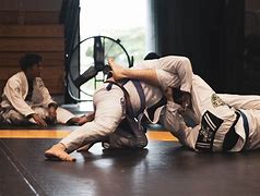 Image result for Most Common Types of Karate