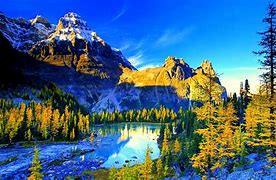Image result for HP Wallpaper Nature