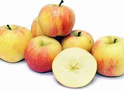 Image result for Gala Apple Varieties