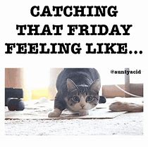 Image result for Crazy Funny Almost Friday