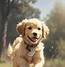 Image result for 2 Cute Dogs