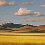 Image result for World Big Country