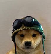 Image result for Smiling Dog Hat Meme