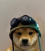 Image result for Dog with Hat Meme Galaxy