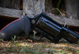 Image result for Guns for Hiking