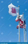 Image result for Apple Country Flag