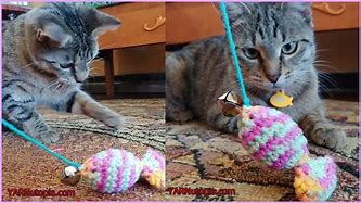 Image result for Catnip Ball Free Written Crochet
