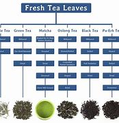 Image result for Importance of Weeding Process in Tea Production