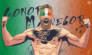 Image result for Mixed Martial Arts Conor McGregor