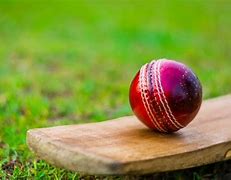 Image result for Most Expensive Cricket Bat