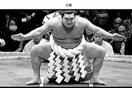 Image result for Sumo