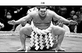 Image result for Sumo Fighter