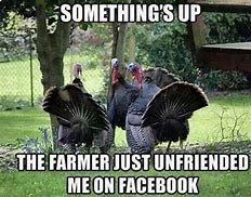 Image result for 2014 Thanksgiving Memes