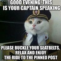 Image result for Captain Cat Meme