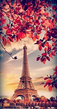 Image result for Beautiful iPhone Wallpapers