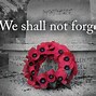 Image result for Remembrance Day Canada Flag