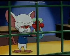 Image result for Pinky and the Brain Billie