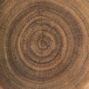 Image result for Wood End Grain Texture