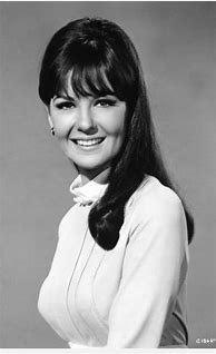 Image result for 1960s TV Actress