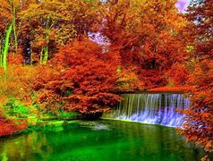 Image result for Fall Virtual Background