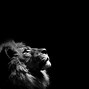 Image result for Windows Lock Screen Lion