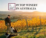 Image result for Pooley Chardonnay Butcher's Hill