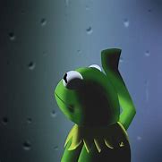 Image result for Sad Kermit Meme ID