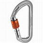 Image result for Micro Locking Carabiner