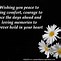 Image result for Funeral Flower Card Ideas