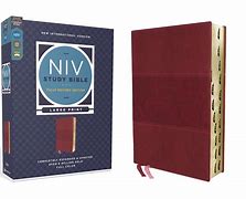 Image result for Free Large Print NIV Bibles