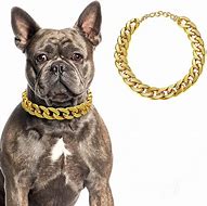 Image result for Puppy Chain