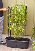Image result for Self Watering Planter with Trellis