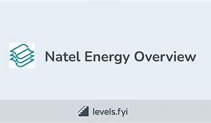 Image result for Natel Energy Logo