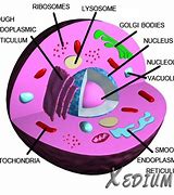 Image result for LG WM2016CW Parts Diagram