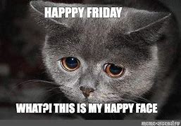 Image result for Happy Friday Cat Walking Away Meme