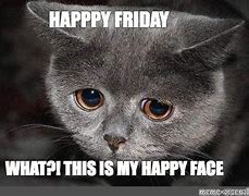 Image result for Fantastic Friday Cat Meme