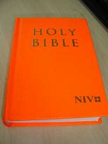 Image result for Bible PFP