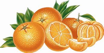 Image result for Basket of Oranges Clip Art