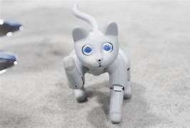Image result for Design Cat Robot