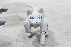 Image result for Robot Cats and Dogs