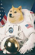 Image result for NASA Memes Doge