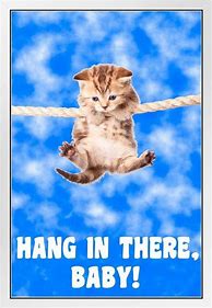 Image result for Hang in There Platitudes