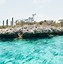 Image result for Swimming with Sharks Bahamas