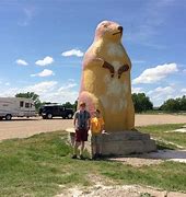 Image result for Roadside Attractions South Dakota