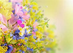 Image result for Bing Wallpaper Flowers