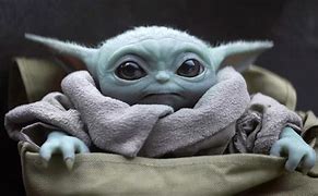 Image result for Baby Yoda Pics